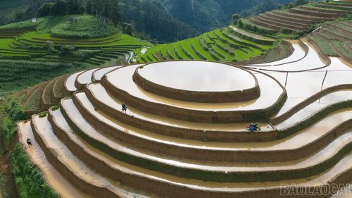 Mỗi mùa trong năm, cung đường lại mang một vẻ đẹp riêng, làm đắm say bất cứ ai có dịp đi qua: mùa xuân rực rỡ sắc hoa rừng, mùa hè xanh mướt màu lúa non. Đặc biệt, cung đường này chạy qua khu vực Mù Cang Chải và Tú Lệ - là điểm đến nổi tiếng với danh thắng ruộng bậc thang, thu hút đông đảo du khách và các nhiếp ảnh gia vào mỗi mùa lúa chín. Ảnh: Ruộng mâm xôi Mù Cang Chải mùa nước đổ.