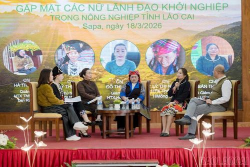 Hội Liên hiệp Phụ nữ tỉnh tổ chức gặp mặt các nữ lãnh đạo khởi nghiệp trong nông nghiệp.