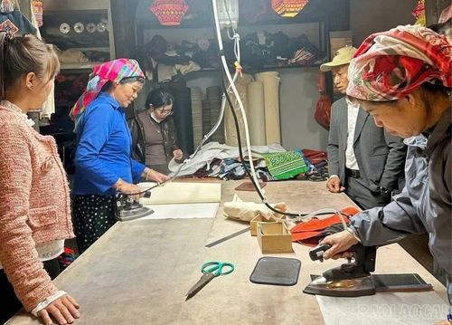  Hội Liên hiệp Phụ nữ tỉnh Lào Cai xác định nâng cao quyền năng kinh tế cho phụ nữ là một trong những mục tiêu trọng tâm trong nhiệm kỳ 2025 - 2030. 