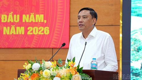 Đồng chí Hoàng Giang - Phó Bí thư Thường trực Tỉnh ủy, Chủ tịch HĐND tỉnh phát biểu chỉ đạo hội nghị.