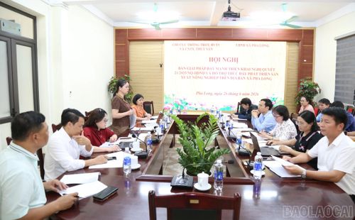 Quang cảnh buổi làm việc giữa lãnh đạo Chi cục Trồng trọt, Bảo vệ thực vật và Chăn nuôi, Thú y, Thủy sản tỉnh với UBND xã Pha Long về định hướng phát triển nông nghiệp.