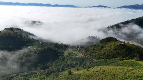Núi Đại Bình chìm trong sương sớm hút hồn du khách khi đến mảnh đất này