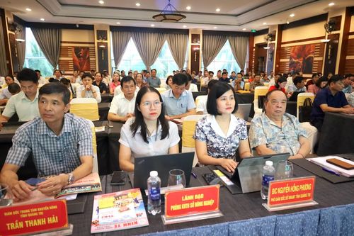 Các đại biểu tham dự hội nghị - Ảnh: Quang Ngọc