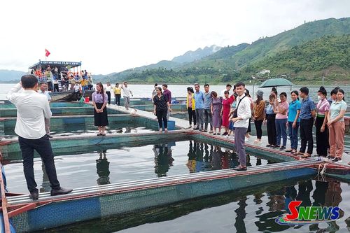 HTX Thủy sản Hồ Quỳnh đón nhiều đoàn khách đến tham quan mô hình nuôi cá lồng.