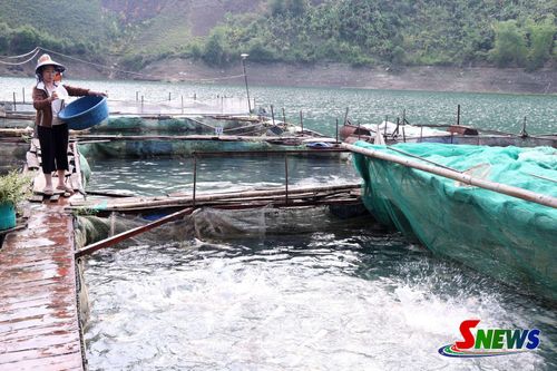 Mô hình nuôi cá lồng của người dân bản Mồng Luông, xã Mường Khiêng.