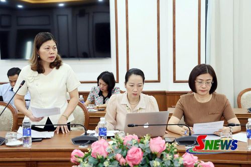 Các thành viên Tổ công tác báo cáo tại hội nghị.