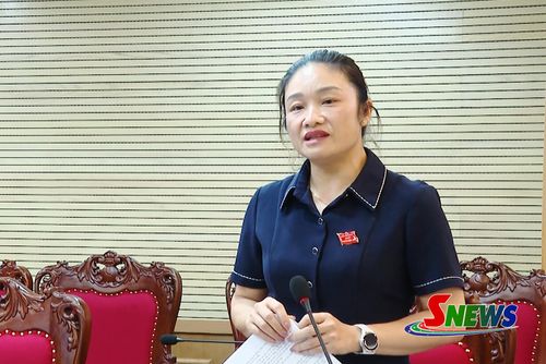 Thành viên đoàn giám sát của Ban Văn hóa xã hội HĐND tỉnh phát biểu.