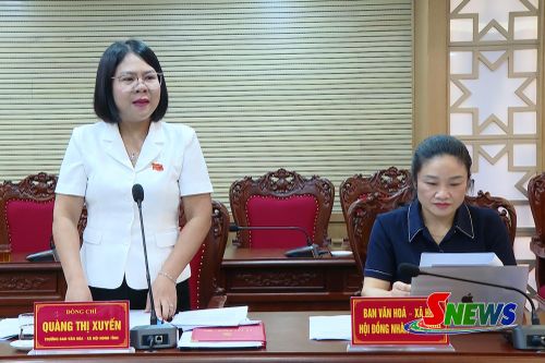 Đồng chí Trưởng ban Văn hóa- Xã hội HĐND tỉnh phát biểu tại buổi làm việc.