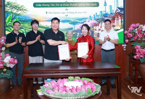 Lễ ký kết Biên bản ghi nhớ hợp tác giữa HTX Hương Vân Trà và Công ty Success Making Co., Ltd. (Hàn Quốc) mở ra cơ hội phát triển chuỗi giá trị chè Thái Nguyên.