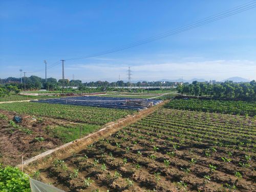 Từ ngày 1/7/2026, Phú Thọ áp dụng hệ số điều chỉnh giá đất năm 2026 bằng 1,0 phục vụ quản lý, bồi thường.