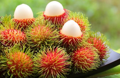 Việc phát triển nhãn hiệu, mã số vùng trồng và sản phẩm OCOP giúp trái chôm chôm Cù lao Bình Hòa Phước gia tăng giá trị, mở rộng cơ hội xuất khẩu và khẳng định tài sản trí tuệ của địa phương.
