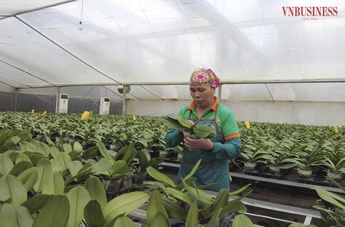Nghị quyết được kỳ vọng sẽ khơi thông những "điểm nghẽn" kéo dài nhiều năm, tạo không gian phát triển mới cho doanh nghiệp, hợp tác xã (HTX) và toàn bộ nền kinh tế Thủ đô.