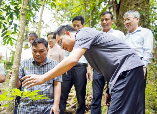 Lãnh đạo TP. Đà Nẵng trực tiếp đi khảo sát nắm tình hình ở cơ sở để kịp thời nâng cao hiệu quả quản lý, điều hành