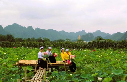 Đầm sen tại Mường Cốc (xã Mỹ Đức) thu hút du khách tham quan, trải nghiệm. Ảnh: Cộng Đồng