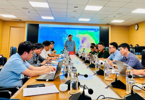 Thứ trưởng Bộ Nông nghiệp và Môi trường Nguyễn Hoàng Hiệp phát biểu tại cuộc họp. Ảnh: Tùng Nguyễn.