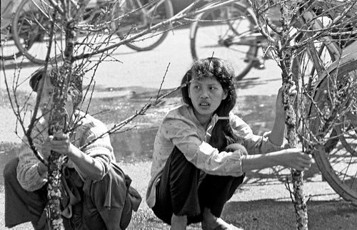 Hai cô gái ngồi giữa chợ hoa Nguyễn Huệ năm 1984, nâng niu cành đào được đưa từ Hà Nội vào bằng tàu hỏa.