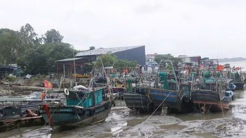 Ngay trong chiều ngày 3/7, đã có 268 tàu cá, phương tiện thủy của các địa phương khác đang neo đậu tại bến Mũi Ngọc và cảng Núi Đỏ.
