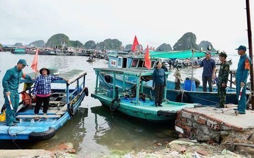  Tàu thuyền tại tỉnh Quảng Ninh về nơi tránh trú bão, sáng 4-7. Ảnh: HẢI YẾN 