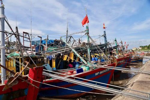 Thuyền bè neo đậu tại Đồ Sơn.