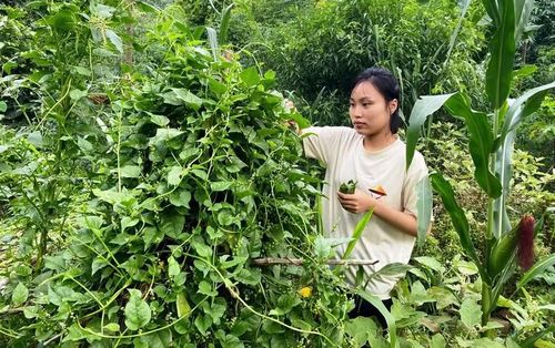 Ước mơ của Như Quỳnh sau này sẽ trở thành cô giáo.