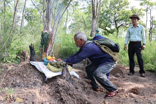 Ông Y Tưng Niê chỉ dẫn nơi chiến sĩ giải phóng nằm xuống.