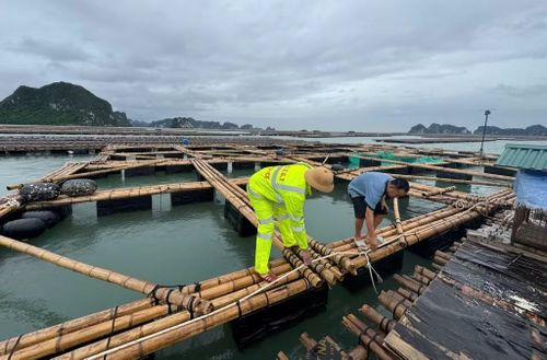 Lực lượng chức năng kiểm tra, hướng dẫn người dân gia cố lồng bè.