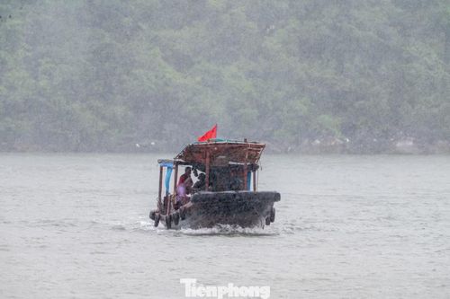 Những chiếc thuyền từ khu vực khác tất bật chạy về khu neo đậu tránh bão.