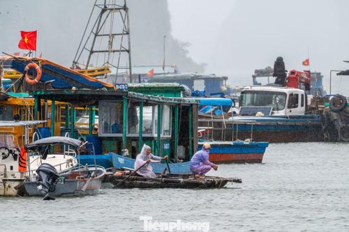 "Chiếc thuyền là cả tài sản lớn của tôi nên tranh thủ lúc trời lặng gió, gọi đò chạy ra kiểm tra lại dây cũng như hệ thống bơm nước trước khi trời tối", anh Quân, quê Thanh Hóa chia sẻ.