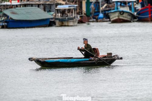 Vào lúc ngớt mưa, người phụ nữ tất bật chèo đò để đưa ngư dân ra thăm thuyền.