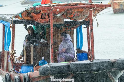 Nhiều thời điểm mưa lớn trắng trời nhưng nhiều người dân vẫn quyết tâm đi ra nơi thuyền của mình neo đậu.