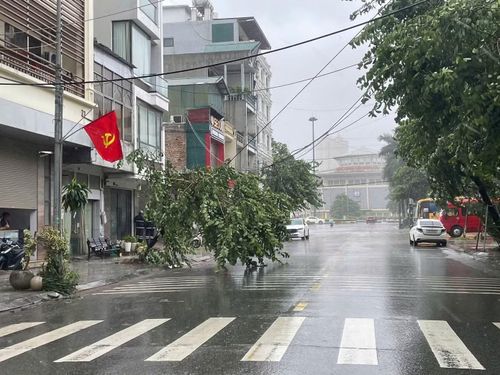 Cây xanh bật gốc, hệ thống điện cũng bị ảnh hưởng.