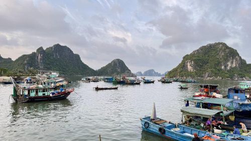 Tàu thuyền neo đậu tại khu neo đậu cảng Cái Rồng.