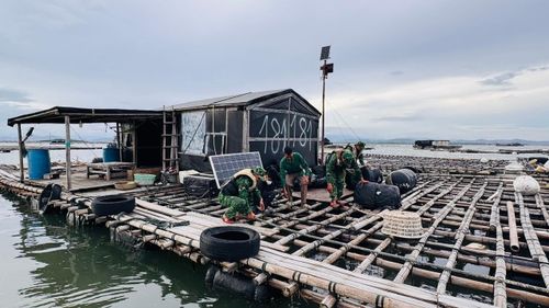 Cán bộ, chiến sĩ Đồn Biên phòng Trà Cổ hỗ trợ người dân gia cố phương tiện, lồng bè và triển khai các biện pháp phòng, chống bão.