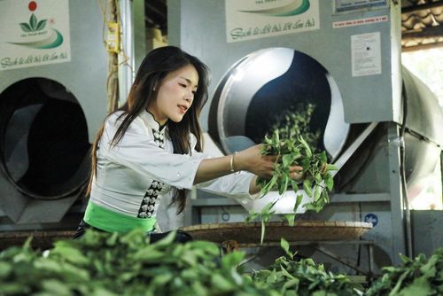 Các sản phẩm chè ở Co Hón đang từng bước khẳng định vị thế trên thị trường. Ảnh: Trần Nhâm