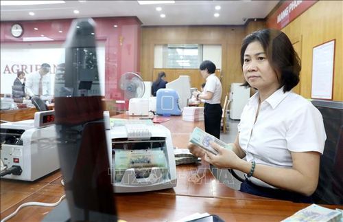 Tín dụng ngân hàng trước mắt vẫn phải giữ vai trò chủ đạo trong thúc đẩy tăng trưởng. Ảnh: Mạnh Khánh/TTXVN