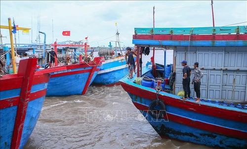 Tàu đang chuẩn bị vào bến tại cảng cá Ninh Cơ để tránh trú bão.