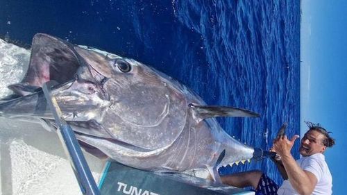 Con cá ngừ khổng lồ nặng 220kg. Nguồn ảnh: Zerounotv