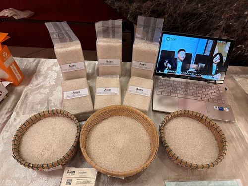 Các sản phẩm gạo Việt Nam được giới thiệu tại Nhật Bản. Ảnh: Nguyễn Tuyến – Pv TTXVN tại Nhật Bản