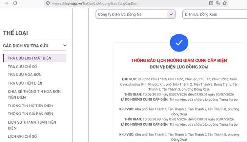 Tổng công ty Điện lực miền Nam (EVNSPC) thông báo có lịch cắt điện ở Đồng Nai trong ngày 5/7 cập nhật lúc 15h45 ngày 4/7. Ảnh: BNEWS/TTXVN phát