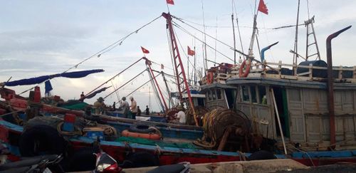 BĐBP tỉnh đã chủ động chuẩn bị phương tiện gồm 5 xe chỉ huy, 10 xe cơ động, 2 tàu, 2 ca nô và 12 ca nô, xuồng máy ứng phó cơn bão lần này.