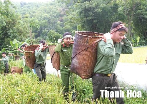 Công an xã Sơn Thủy giúp đỡ người dân gặt lúa trong những ngày nắng nóng gay gắt. Ảnh: Đỗ Đức