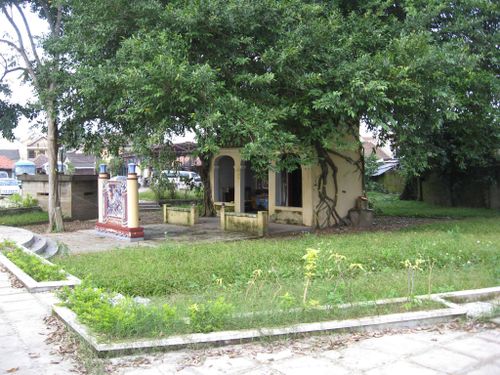 Cây đa miếu Ngũ Hành ở nhà lao Thông Đăng. Ảnh: Hồng Việt