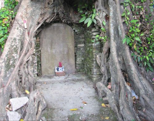 Cây đa Bia yểm thủy đạo. Ảnh: Hồng Việt