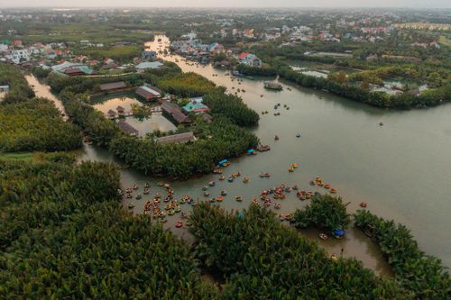 Rừng dừa nước ở Cẩm Thanh - Ảnh: Nguyễn Xuân Anh