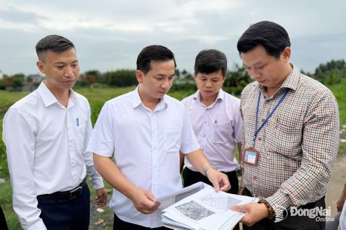 Chủ tịch UBND phường Trảng Dài Lê Kim Hường (thứ 2, từ trái qua) cùng cán bộ hạ tầng đô thị phường khảo sát khu đất dự kiến xây dựng trường THTP công lập. Ảnh: Công Nghĩa