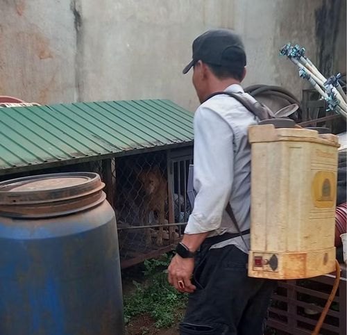 Cán bộ thú y Trung tâm Dịch vụ sự nghiệp công xã Mang Yang khoanh vùng tiêu độc khử trùng khu vực ổ dịch tại thôn 2 Tân Bình. Ảnh: T.N