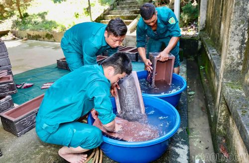 Các chiến sĩ dân quân tích cực phối hợp chuẩn bị chu đáo các điều kiện phục vụ công tác lấy mẫu, tạo thuận lợi cho quá trình triển khai.