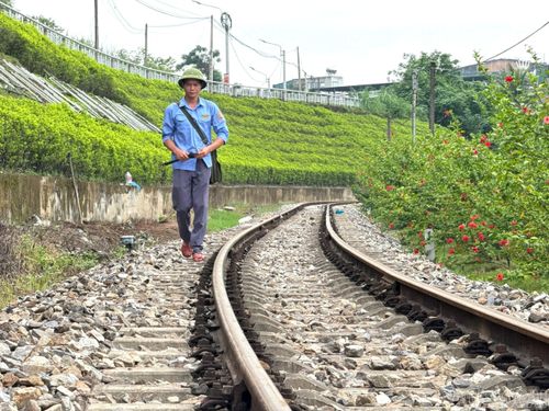 Những người công nhân chăm sóc hoa dọc tuyến đường sắt qua phường Lào Cai.
