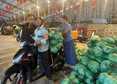 Người dân Hải Phòng chuẩn bị rau xanh hỗ trợ miễn phí người dân vùng nguy cơ ảnh hưởng bão số 1.