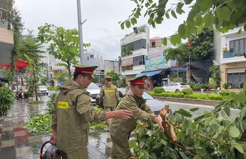 Công an phường Gia Viên (Hải Phòng) hỗ trợ người dân tỉa cắt cây xanh trên đường phố.